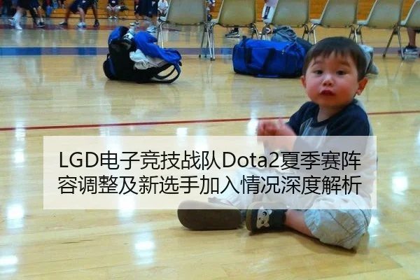 LGD电子竞技战队Dota2夏季赛阵容调整及新选手加入情况深度解析